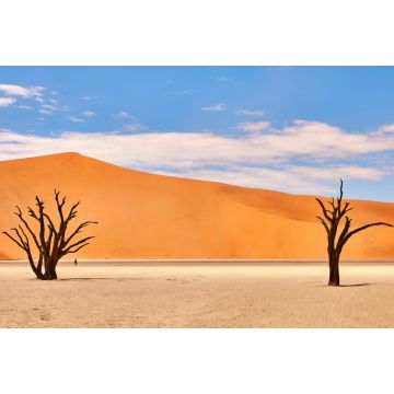 Lais Puzzle - Namibische Wüstenlandschaft - 2.000 Teile