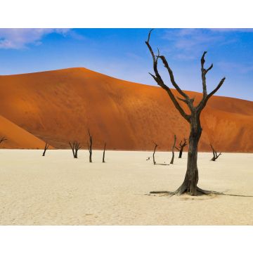 Lais Puzzle - Totes Vlei (Namib-Naukluft Park) - Namibia Afrika - 40, 100, 200, 500, 1.000 & 2.000 Teile