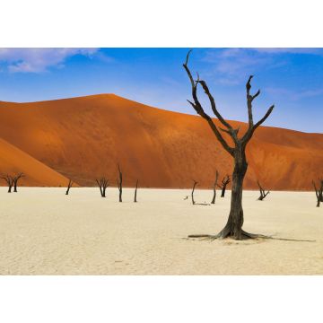 Lais Puzzle - Totes Vlei (Namib-Naukluft Park) - Namibia Afrika - 1.000 Teile