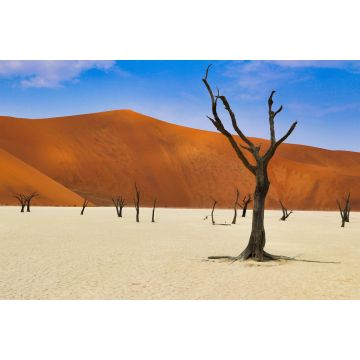 Lais Puzzle - Totes Vlei (Namib-Naukluft Park) - Namibia Afrika - 2.000 Teile