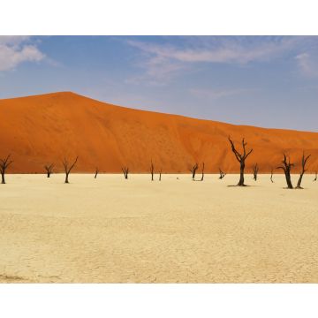Lais Puzzle - Totes Vlei (Namib-Naukluft-Park) - Namibia Afrika - 40, 100, 200, 500, 1.000 & 2.000 Teile