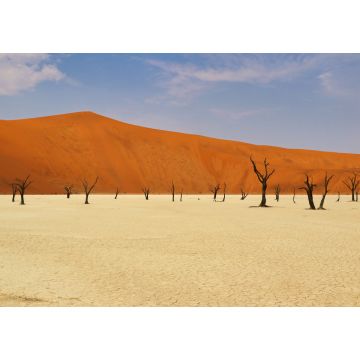 Lais Puzzle - Totes Vlei (Namib-Naukluft-Park) - Namibia Afrika - 1.000 Teile