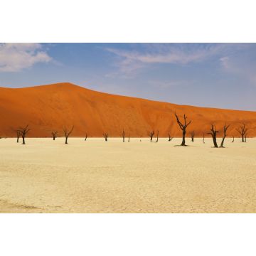 Lais Puzzle - Totes Vlei (Namib-Naukluft-Park) - Namibia Afrika - 2.000 Teile