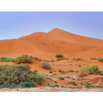 Lais Puzzle - Sossusvlei (Namib-Naukluft Park) - Namibia Afrika - 40, 100, 200, 500, 1.000 & 2.000 Teile