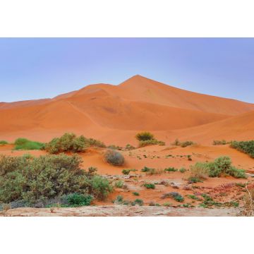 Lais Puzzle - Sossusvlei (Namib-Naukluft Park) - Namibia Afrika - 1.000 Teile