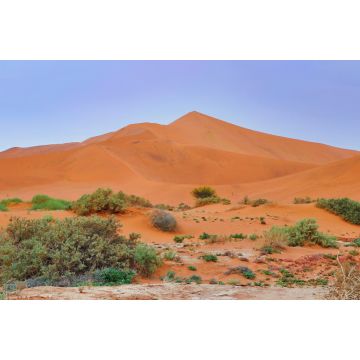 Lais Puzzle - Sossusvlei (Namib-Naukluft Park) - Namibia Afrika - 2.000 Teile