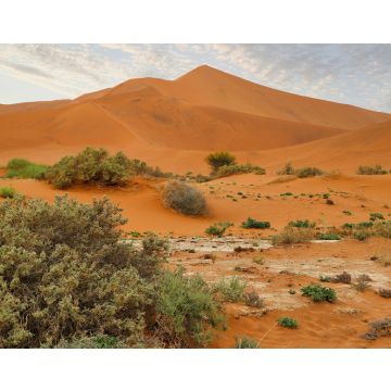 Lais Puzzle - Sossusvlei (Namib-Naukluft-Park) - Namibia Afrika - 40, 100, 200, 500, 1.000 & 2.000 Teile