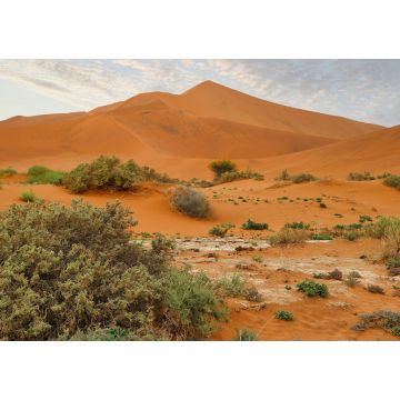 Lais Puzzle - Sossusvlei (Namib-Naukluft-Park) - Namibia Afrika - 1.000 Teile