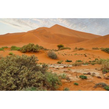 Lais Puzzle - Sossusvlei (Namib-Naukluft-Park) - Namibia Afrika - 2.000 Teile