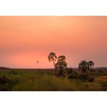Lais Puzzle - Sonnenuntergang in der Palwag Lodge im Damaraland, Namibia - 1.000 Teile