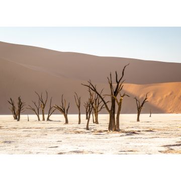 Lais Puzzle - Deadvlei im Sossusvlei Park, Namibia - 1.000 Teile