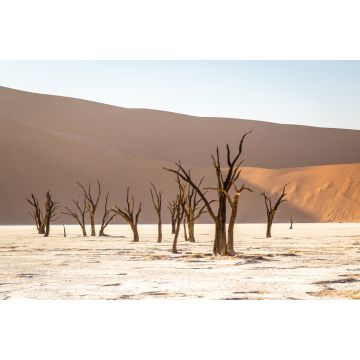 Lais Puzzle - Deadvlei im Sossusvlei Park, Namibia - 2.000 Teile