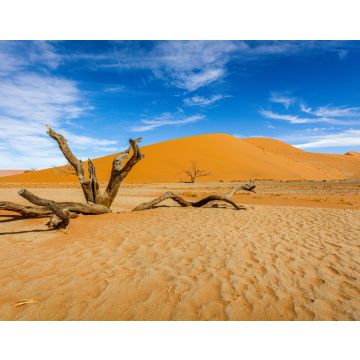 Lais Puzzle - Bacharn-Dünen bei Soussusvlei, Namibia - 40, 100, 200, 500, 1.000 & 2.000 Teile