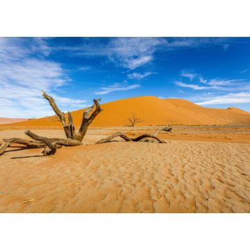 Lais Puzzle - Bacharn-Dünen bei Soussusvlei, Namibia - 1.000 Teile