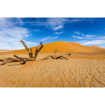 Lais Puzzle - Bacharn-Dünen bei Soussusvlei, Namibia - 2.000 Teile