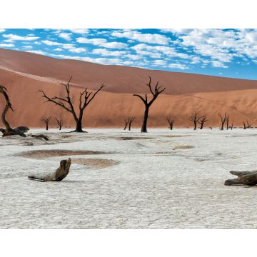 Lais Puzzle - Abgestorbene Bäume bei Sonnenaufgang im Dead Vlei im Sossusvlei, Teil des Namib-Naukluft-Nationalparks - Namibia - 40, 100, 200, 500, 1.000 & 2.000 Teile