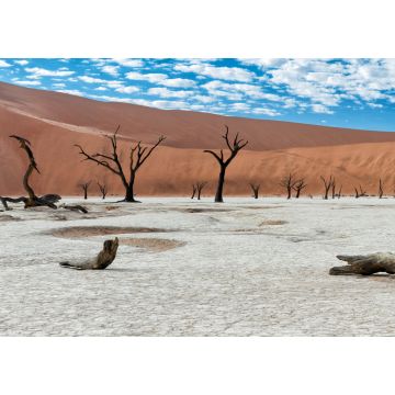 Lais Puzzle - Abgestorbene Bäume bei Sonnenaufgang im Dead Vlei im Sossusvlei, Teil des Namib-Naukluft-Nationalparks - Namibia - 1.000 Teile