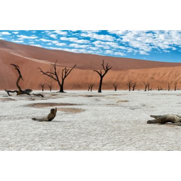 Lais Puzzle - Abgestorbene Bäume bei Sonnenaufgang im Dead Vlei im Sossusvlei, Teil des Namib-Naukluft-Nationalparks - Namibia - 2.000 Teile