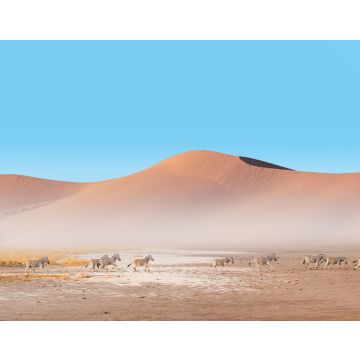 Lais Puzzle - Erstaunliche Zebras, die durch die afrikanische Savanne laufen - Namib-Wüste im Hintergrund - Etosha-Nationalpark, Namibia - 40, 100, 200, 500, 1.000 & 2.000 Teile