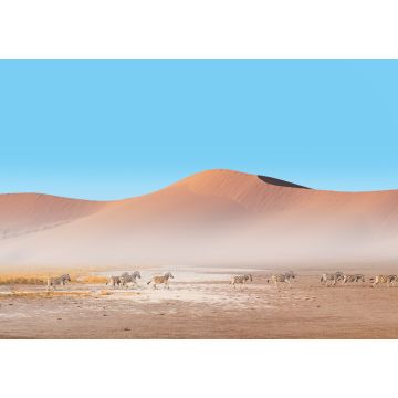 Lais Puzzle - Erstaunliche Zebras, die durch die afrikanische Savanne laufen - Namib-Wüste im Hintergrund - Etosha-Nationalpark, Namibia - 1.000 Teile
