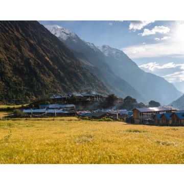 Lais Puzzle - Gerstenreisfeld im Dorf Lho auf der Trekkingroute der Manaslu-Runde, Himalaya-Gebirge in Nepal - 40, 100, 200, 500, 1.000 & 2.000 Teile