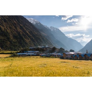 Lais Puzzle - Gerstenreisfeld im Dorf Lho auf der Trekkingroute der Manaslu-Runde, Himalaya-Gebirge in Nepal - 2.000 Teile