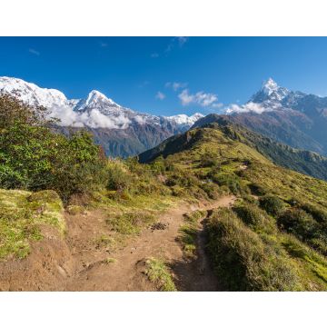 Lais Puzzle - Wunderschöner Trekkingpfad in der Mardi Himal Trekkingroute in der Annapurna Gebirgskette, Teilbereich der Himalya Gebirgskette, Nepal - 40, 100, 200, 500, 1.000 & 2.000 Teile