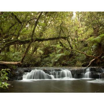 Lais Puzzle - Wasserfall im Küstenwald der Catlins in Neuseeland - 40, 100, 200, 500, 1.000 & 2.000 Teile