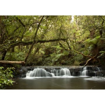 Lais Puzzle - Wasserfall im Küstenwald der Catlins in Neuseeland - 1.000 Teile