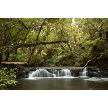 Lais Puzzle - Wasserfall im Küstenwald der Catlins in Neuseeland - 2.000 Teile