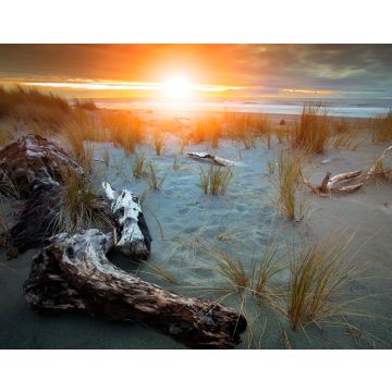 Lais Puzzle - Schöner Sonnenuntergang am Strand von Hokitika auf der Südinsel Neuseelands, dem beliebtesten Reiseziel für Naturliebhaber - 40, 100, 200, 500, 1.000 & 2.000 Teile