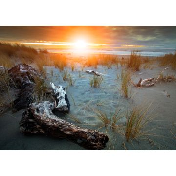 Lais Puzzle - Schöner Sonnenuntergang am Strand von Hokitika auf der Südinsel Neuseelands, dem beliebtesten Reiseziel für Naturliebhaber - 1.000 Teile