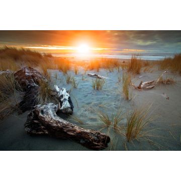 Lais Puzzle - Schöner Sonnenuntergang am Strand von Hokitika auf der Südinsel Neuseelands, dem beliebtesten Reiseziel für Naturliebhaber - 2.000 Teile