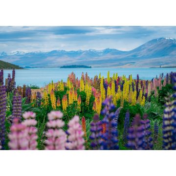 Lais Puzzle - Landschaft am Lake Tekapo Lupinenfeld in Neuseeland - 1.000 Teile