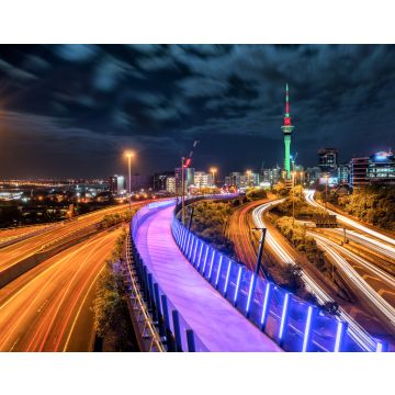 Lais Puzzle - Skyline der Stadt Auckland bei Nacht, Neuseeland - 40, 100, 200, 500, 1.000 & 2.000 Teile