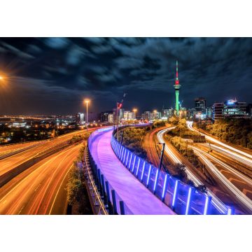 Lais Puzzle - Skyline der Stadt Auckland bei Nacht, Neuseeland - 1.000 Teile