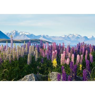 Lais Puzzle - Neuseeländische Lupinen im Frühling - 1.000 Teile