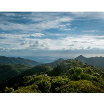 Lais Puzzle - Aussicht vom Mt Pirongia, Pirongia Forest Park, Waikato Region auf der Nordinsel, Neuseeland - 40, 100, 200, 500, 1.000 & 2.000 Teile