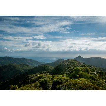 Lais Puzzle - Aussicht vom Mt Pirongia, Pirongia Forest Park, Waikato Region auf der Nordinsel, Neuseeland - 1.000 Teile