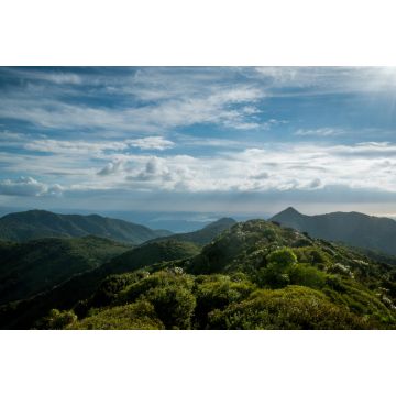 Lais Puzzle - Aussicht vom Mt Pirongia, Pirongia Forest Park, Waikato Region auf der Nordinsel, Neuseeland - 2.000 Teile