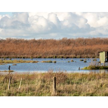 Lais Puzzle - Entenjagd Blind in Neuseeland Lake Wairarapa - 40, 100, 200, 500, 1.000 & 2.000 Teile