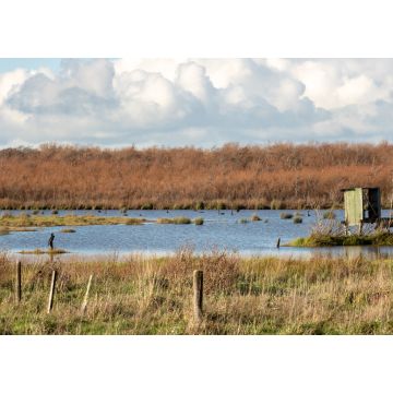 Lais Puzzle - Entenjagd Blind in Neuseeland Lake Wairarapa - 1.000 Teile