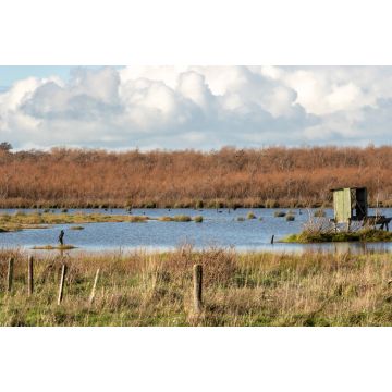 Lais Puzzle - Entenjagd Blind in Neuseeland Lake Wairarapa - 2.000 Teile