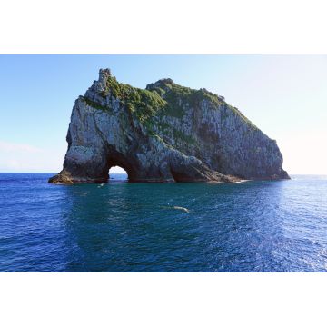 Lais Puzzle - Blick auf das Hole in the Rock in der Bay of Islands, Nordinsel, Neuseeland - 2.000 Teile