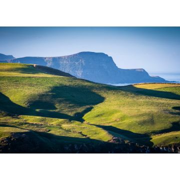 Lais Puzzle - Schöne Landschaft in Dunedin auf der Otago-Halbinsel in Neuseeland - 1.000 Teile