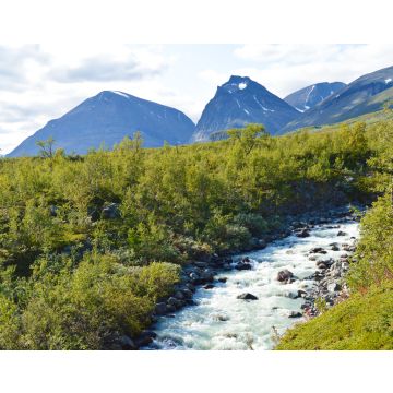 Lais Puzzle - Fluss im Kebnekaise-Tal auf dem Weg ins Tarfala-Tal - 40, 100, 200, 500, 1.000 & 2.000 Teile