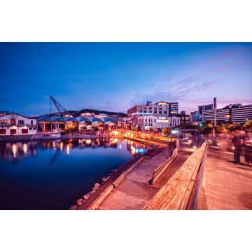 Lais Puzzle - Nachtlandschaft von Wellington City, Neuseeland - 2.000 Teile
