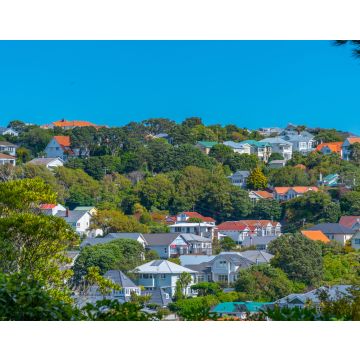 Lais Puzzle - Wohnhäuser in Wellington, Neuseeland - 40, 100, 200, 500, 1.000 & 2.000 Teile