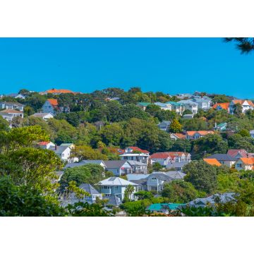Lais Puzzle - Wohnhäuser in Wellington, Neuseeland - 1.000 Teile