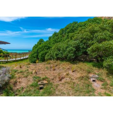 Lais Puzzle - Beobachtungsgebiet der Oamaru Blue Penguin Colony in Neuseeland - 1.000 Teile